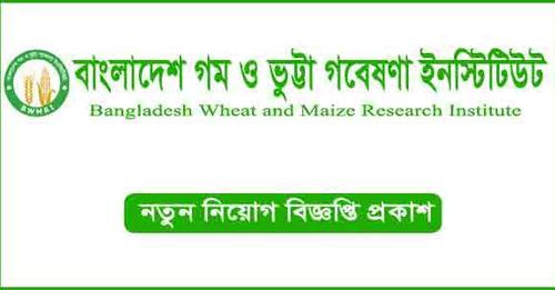 Bangladesh Wheat and Maize Research Institute BWMRI Job Circular 2023
